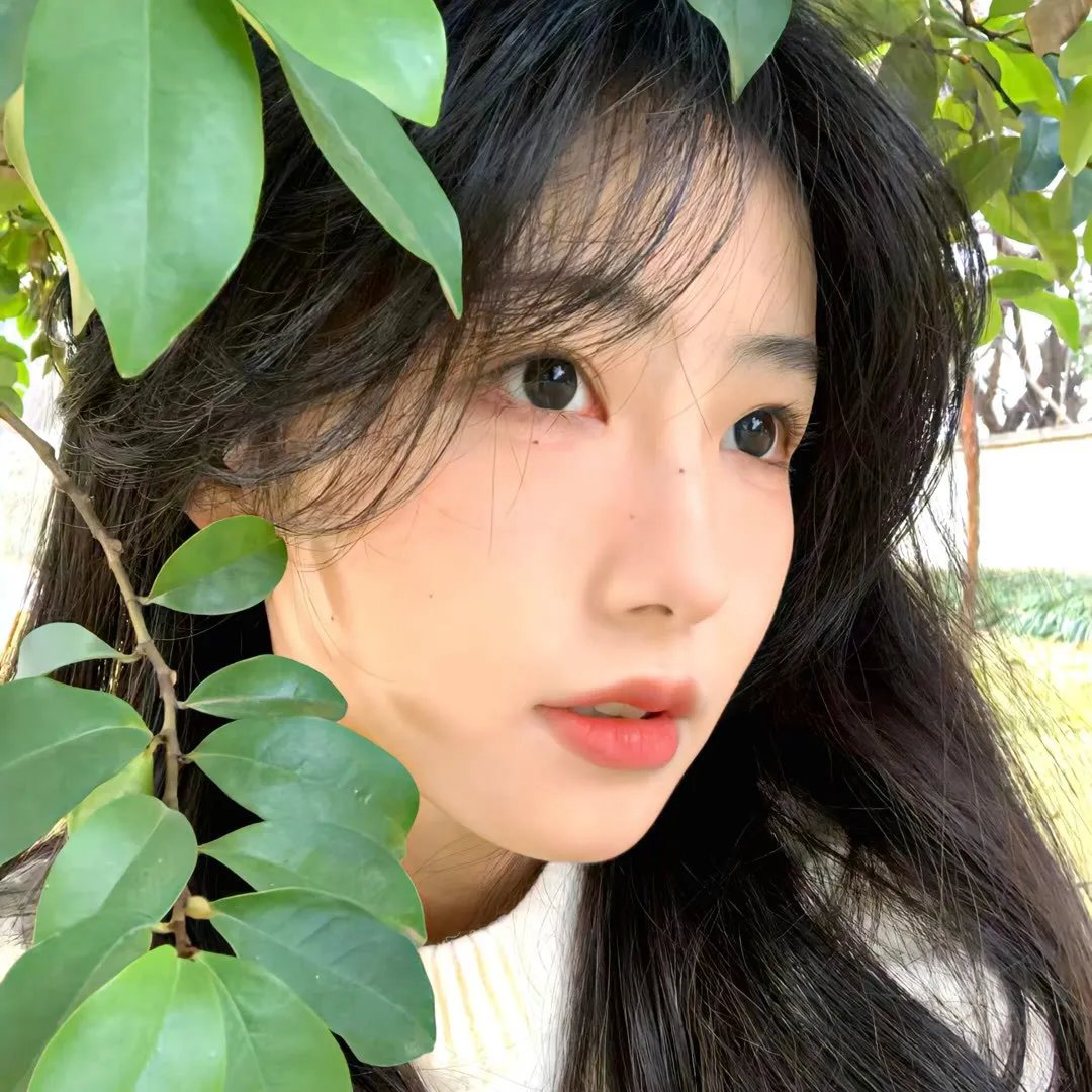 万有引力
